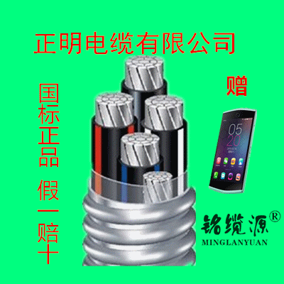 交联聚乙烯绝缘铝合金带连锁铠装铝合金电力电缆